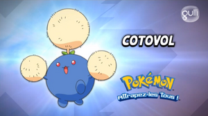 FR - QECP XY58.png