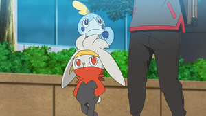 LV040 - Lapyro et Larméléon de Goh.png