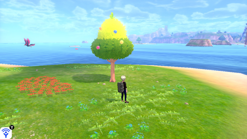 Fichier:Mer Isol'Îlots Arbre à Baies EB.png