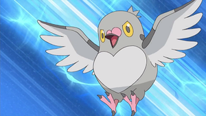 NB010 - Poichigeon de Sacha.png