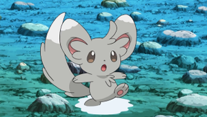 NB013 - Chinchidou de Bianca.png