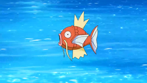 NB141 - Magicarpe.png