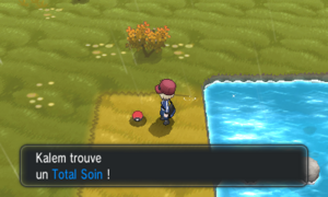 Route 15 Total Soin XY.png