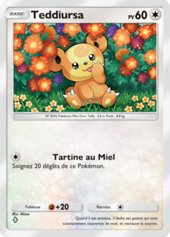 Teddiursa (Sagesse entre Ciel et Mer 145)