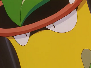 EP243 - Empiflor de James.png