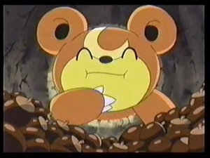 Fête - Ami des Frères Pichu - Teddiursa.png