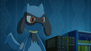 LV021 - Riolu de Sacha.png