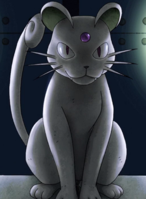 PG04 - Persian.png