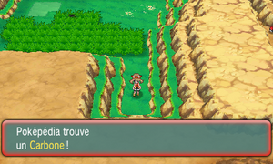 Route 114 Carbone ROSA.png