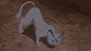 SL083 - Persian d'Alola d'une riche femme.png