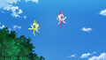 Celebi (sauvages)