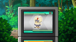 NB095 - Furaiglon Pokédex.png