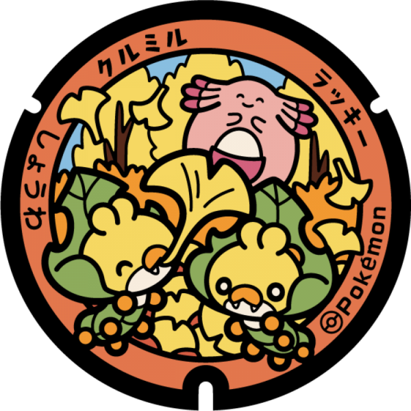 Fichier:Poké Lid 252 Showa.png