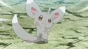 Chinchidou(de la Team Rocket)