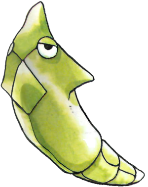Chrysacier-RV.png