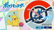 Quel est ce Pokémon ? : C'est Amphinobi !