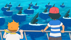 SL031 - Sharpedo.png
