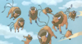 Tauros (sauvages ► de la Team Rocket)