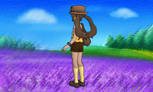 Vidéo Dresseur Angle Rotation vers la gauche.png