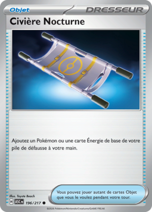 Carte Méga-Évolution Héros Transcendants 196.png