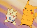 Pikachu (de Sacha) et Togepi (d'Ondine)