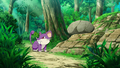 Rattata (sauvage)