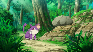 LV001 - Rattata (Flash-back).png