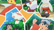 Magicarpeet Poissirène (sauvages)