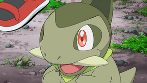 NB059 - Coupenotte d'Iris.png