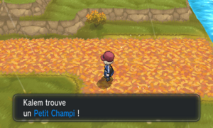 Route 15 Petit Champi XY.png