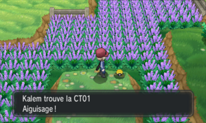 Route 5 CT01 XY.png