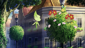 Rozbouton et Joliflor sauvages Film 13.png