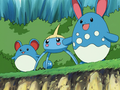 Marill, Arakdo et Azumarill (sauvage)