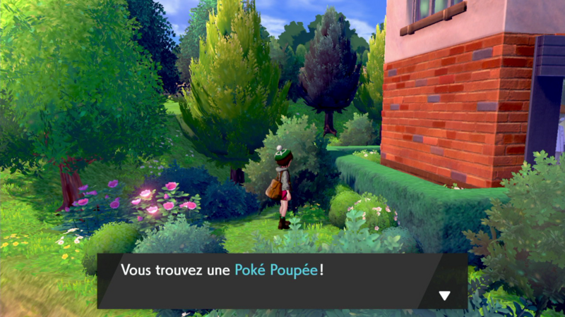 Fichier:Brasswick Poké Poupée EB.png