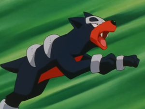 EP220 - Malosse de Cassidy.png