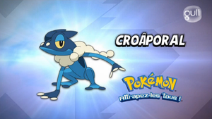 FR - QECP XY17.png