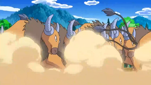 NB142 - Tauros de Sacha.png