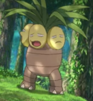 Noadkoko sauvage - Film 23.png