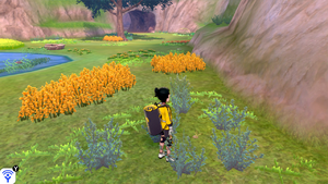Taupiqueur d'Alola Lande Boldair 15 EB.png