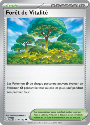 Carte Méga-Évolution 117.png