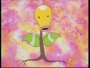 EP157 - Pensée - Chétiflor.png