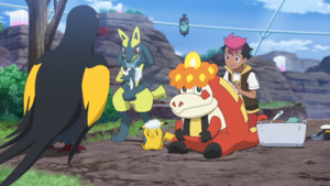 LH116 - Activité Myrtille Laver un Pokémon.png