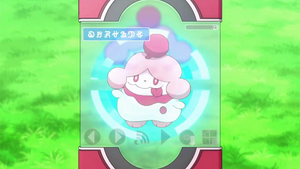 XY026 - Cupcanaille Pokédex.png