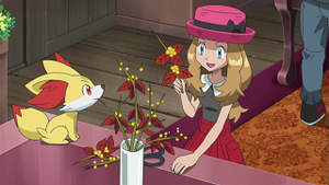 XY034 - Feunnec de Serena.png