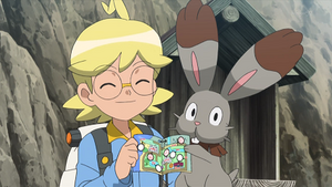 XY041 - Sapereau de Lem.png