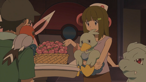 XY084 - Passerouge et Couaneton d'un Dresseur.png
