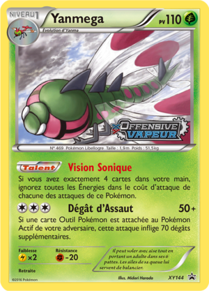 Carte Promo XY XY144.png