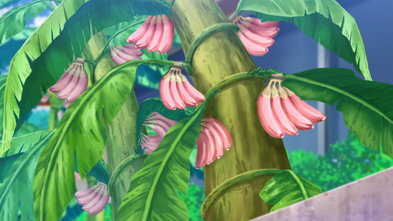 Fichier:LH106 - Baie Nanab.png