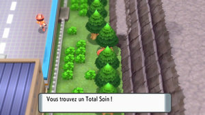 Route 206 Total Soin DEPS.png