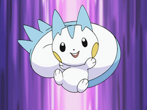 DP032 - Pachirisu d'Aurore.png